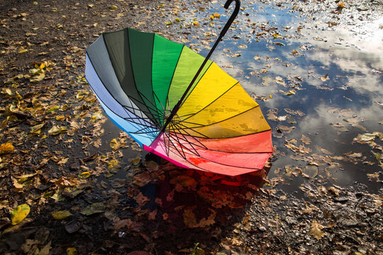 Multi-colored Umbrella Of Rainbow Colors Lies In A Puddle Strewn With Autumn Leaves On An Asphalt Road. Autumn Atmosphere. Symbol Of The Rainy Season, Bad Wet Windy Weather