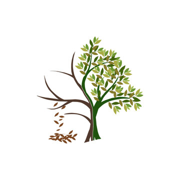 Vector illustration of a tree with half dead and withered, tree bark, drought vector.
