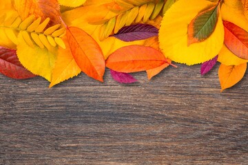 Naklejka na ściany i meble Autumn colored leaves on wooden desk background
