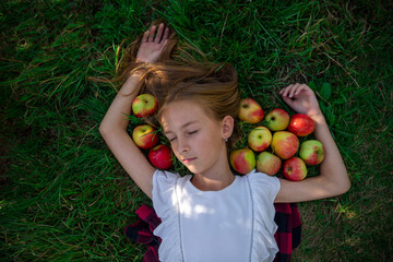 Fototapeta na wymiar A girl with a basket of apples in an apple orchard