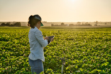 Smart farmer woman agronomist checks the field with tablet. Inteligent agriculture and digital agriculture. - obrazy, fototapety, plakaty
