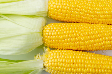 Sweet Corn Ears Texture Background, Maize Cob Pattern