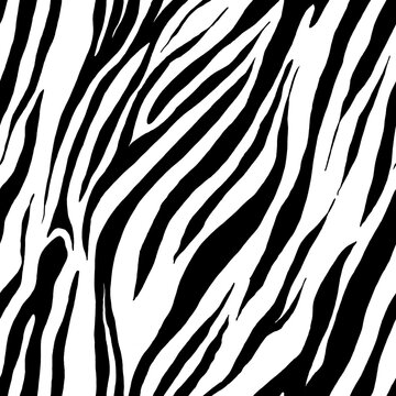 Black and white zebra seamless pattern. Monochrome modern animal design. Hand drawn endless texture. Striped repeating background..
