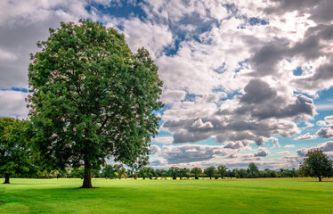 Fototapeta premium Irish landscape with tree under dramatic sky in the summer. Public Park of Malahide Castle, in Malahide, a suburb of Dublin