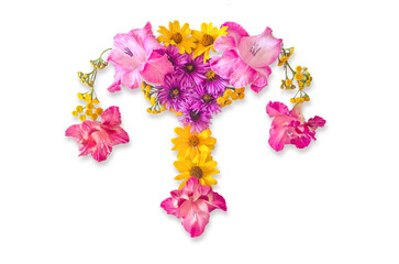 Female reproductive organs are laid out from flowers. image of flowers. Uterus on a white background.