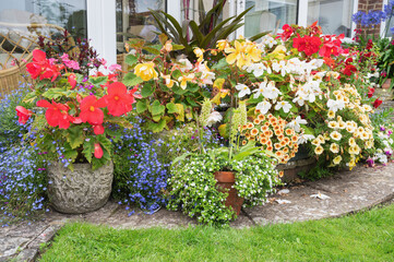 Beautiful potted flowers arrangements in the garden