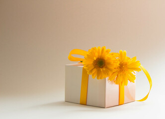 Yellow fresh flowers with gift box on neutral beige background.