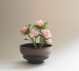 Bouquet of pink flowers in vase. Elegant arrangement of  garden flowers on neutral beige background.