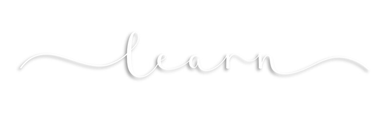 LEARN white brush lettering on transparent background