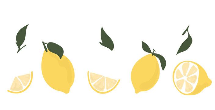 Vector elements in the form of a juicy lemon, lemon slices, twigs, sliced ​​lemon. Isolated objects on a white background.