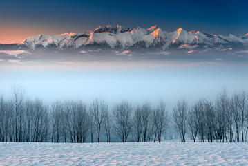 View of the Tatra Mountains from Pieniny. Winter, frost, sunset and fog, Poland.
Widok z pienin na Tatry. Zima, mróz, noc i wschód słońca. Panorama gór. Polska