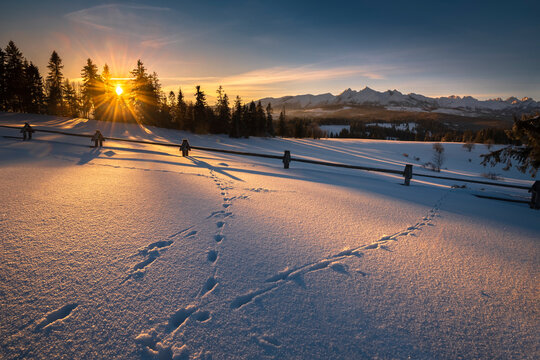Fototapeta Tatra Mountains, winter, sunrise on the Łapszanka Pass, Poland.  Tatry, zima, wschód słońca na Przełęczy nad Łapszanką. Panorama gór, polska. 