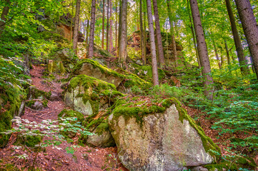 Mountain rocks in the forest