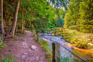 Mountain path beside Kamienna river © Cassius Black