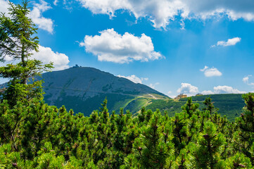 View from Kopa to Śnieżka mountain top