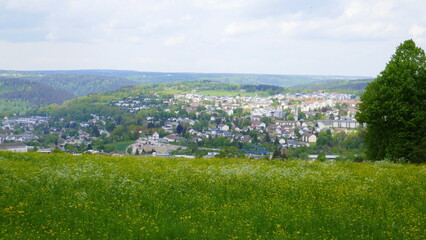 Fototapeta na wymiar Blick auf die große Kreisstadt Calw mit einer Blumenwiese im Vordergrund