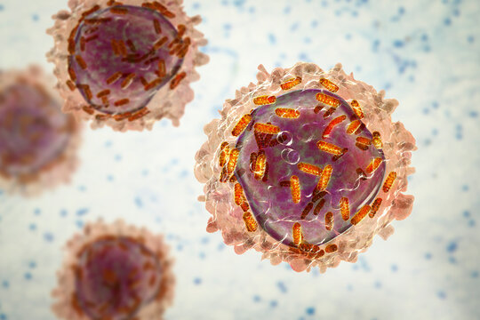 Leukaemia white blood cell with mitochondria3D illustration