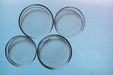 Empty glass lab petri dish for scientific research