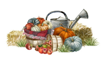 Watercolor apple harvest scene with pumpkin,watering can, hay and blanket. Fall decor composition for Thanksgiving and autumn arrangement card, Farmhouse rustic garden illustration