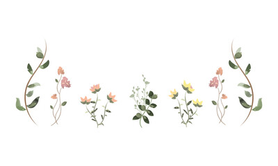 Watercolor flowers. Floral drawing