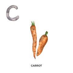 Watercolor letter C with carrot illustration. English ABC, alphabet with vegetable illustration