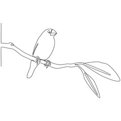 Continuous line drawing of a bird perching on a branch