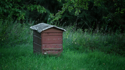 Old rustic wooden beehive standing on green grass at garden in tree shadow. Beekeeping and apiculture concept.