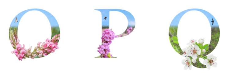 Alphabet, decorative drop caps in PNG and transparent Background