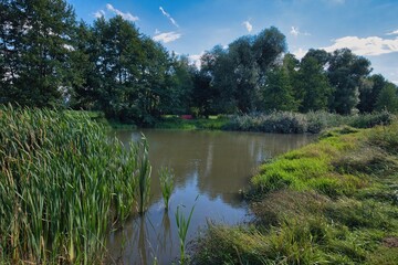Obraz premium Idyllische Flusslandschaft an der Abens im Hopfenland in Niederbayern