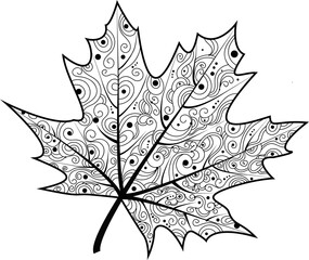 White vector illustration of a maple leaf. 