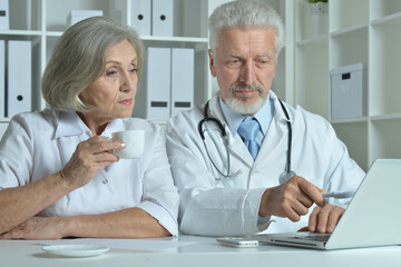 Portrait of an elderly couple of doctors at the laptop