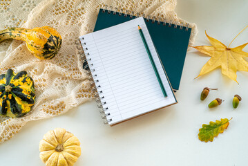 Notebook template for writing recipes and ingredients of delicious autumn soups. Autumn, fall, halloween concept. Pumpkins, leaves, acorns. Products from the garden and nature.