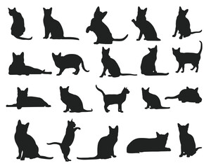 Fototapeta na wymiar Korat cat animal silhouettes, Cats silhouette collection.