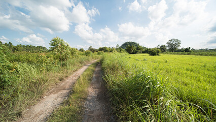 Fototapeta na wymiar rural area in Amphoe Kabin Buri, Thailand.