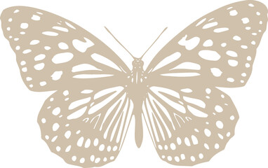 Boho Butterfly transparent background