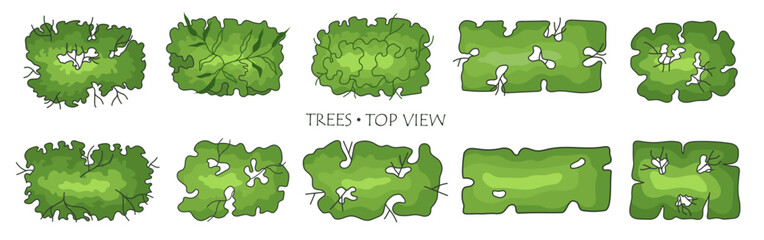 Tree for architectural floor plans. Entourage design. Various trees, bushes, and shrubs, top view for the landscape design plan. Vector illustration.
