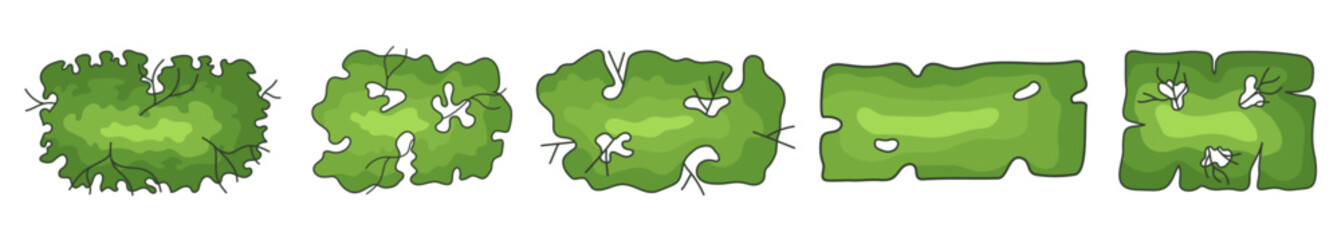 Tree for architectural floor plans. Entourage design. Various trees, bushes, and shrubs, top view for the landscape design plan. Vector illustration.