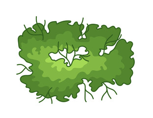 Tree for architectural floor plans. Entourage design. Various trees, bushes, and shrubs, top view for the landscape design plan. Vector illustration.