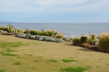 Grass next to sea in Estepona, Malaga, Spain - 531750045