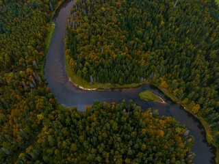 Autumn view from above to the river Gauja.