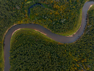 Autumn view from above to the river Gauja.