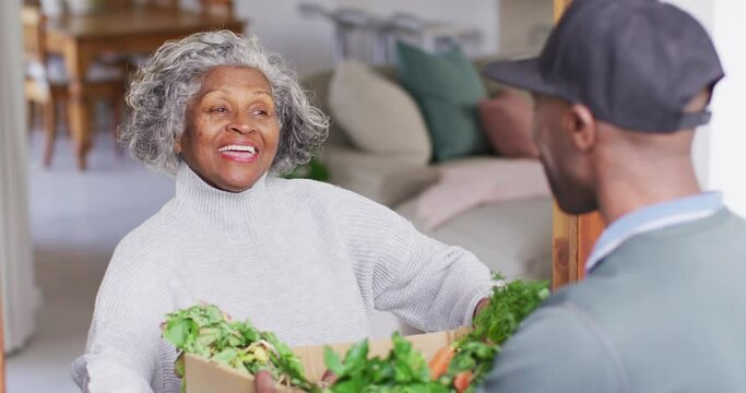 Happy senior african american woman receiving groceries from delivery man