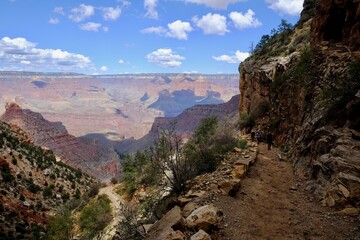 Fototapeta premium grand canyon national park