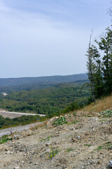 Igneada national park road and view. Igneada district Kirklareli city. Turkey.