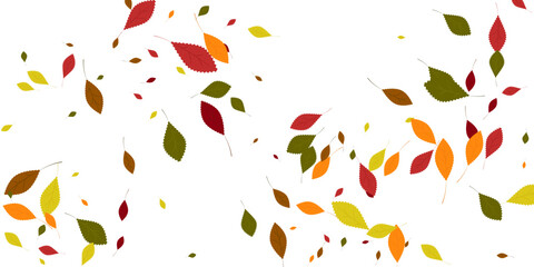 Leaves. Yellow, red, green, orange, brown colors. Scattered autumn leaves. Unusual abstract texture. Vector eps 10.