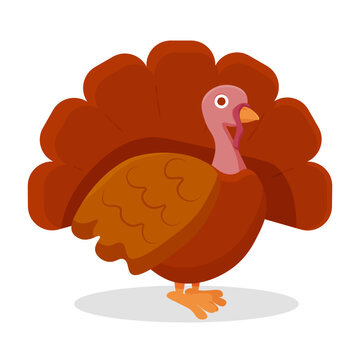 Cute cartoon turkey. Thanksgiving day. Vector illustration on a white background.