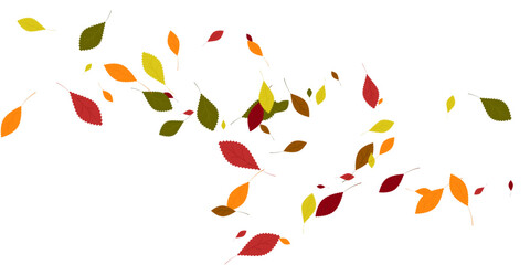 Leaves. Yellow, red, green, orange, brown colors. Scattered autumn leaves. Unusual abstract texture. Vector eps 10.