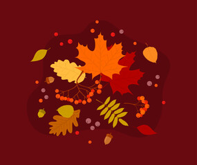 Autumn banner with leaves, berries and acorns on a burgundy background. Flat vector illustration