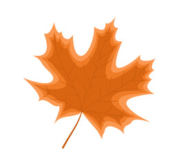 Orange maple leaf on a white background. Autumn decorative element. Flat vector illustration