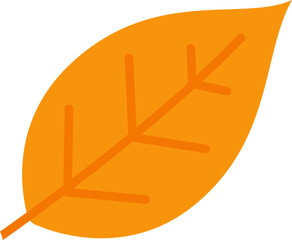 Autumn Leaf. Fall Plant icon. Vector illustration